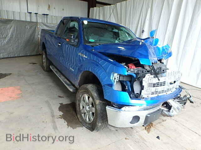 Фотография 1FTFX1ET8DFD89004 - FORD F150 2013