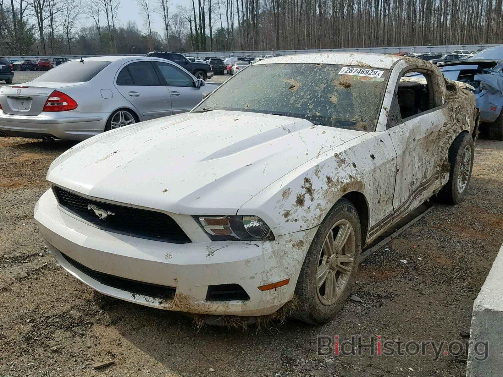 Photo 1ZVBP8AMXC5255277 - FORD MUSTANG 2012