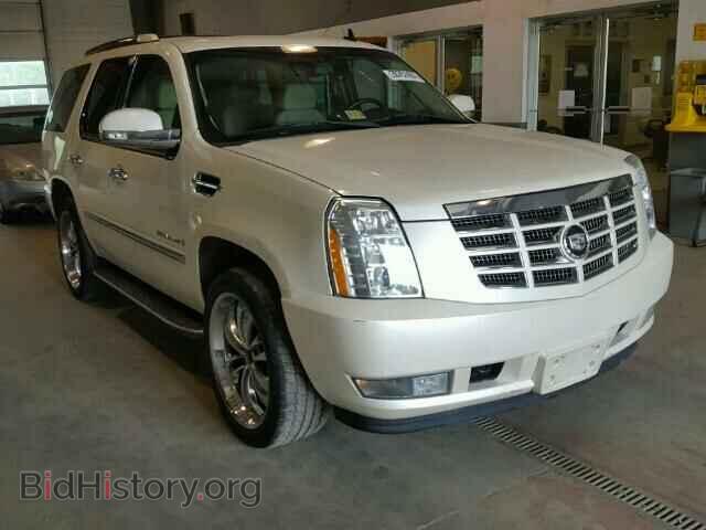 Photo 1GYFK63867R139591 - CADILLAC ESCALADE 2007