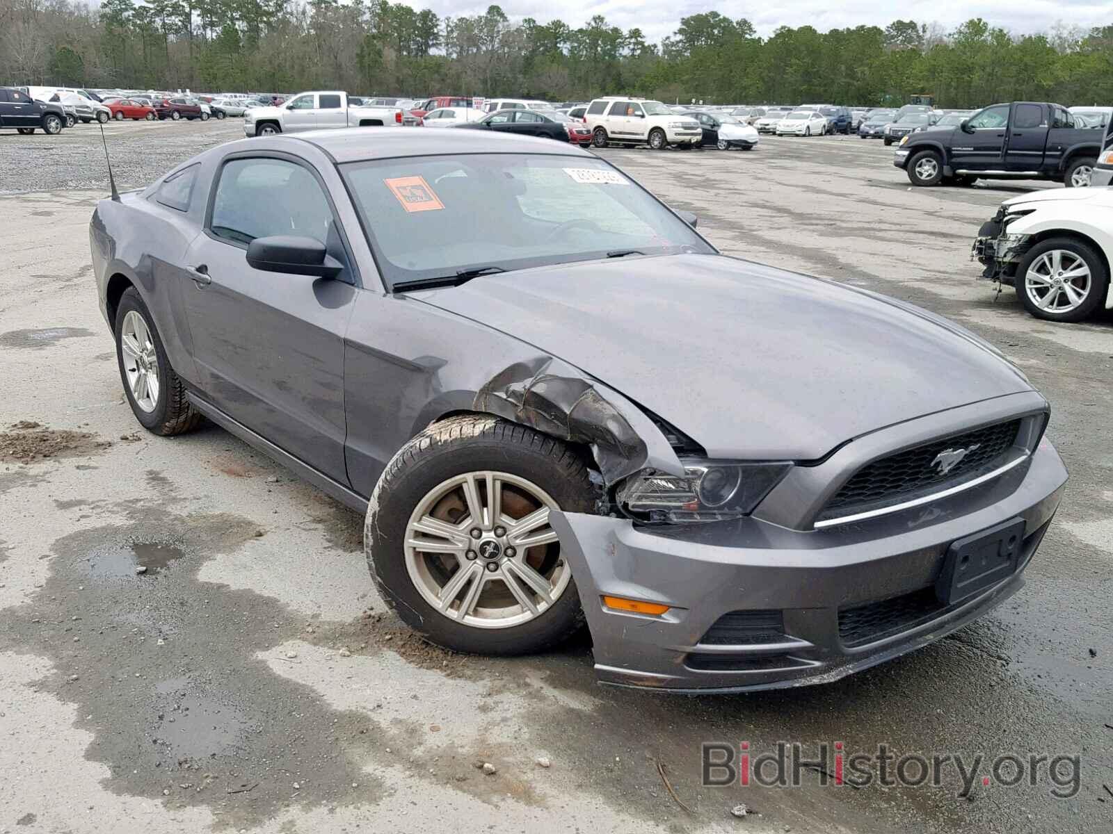Photo 1ZVBP8AM5E5291526 - FORD MUSTANG 2014
