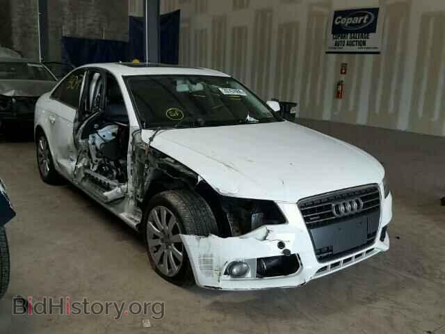 Фотография WAUFFAFL5AN011190 - AUDI A4 2010