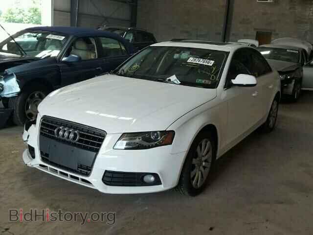 2010 AUDI A4 - VIN: WAUFFAFL5AN011190 - Фото 2