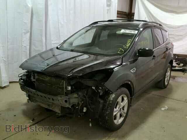 2013 FORD ESCAPE - VIN: 1FMCU9G95DUB30117 - Photo 2
