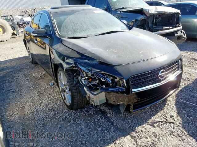 Фотография 1N4AA5AP3BC804973 - NISSAN MAXIMA 2011