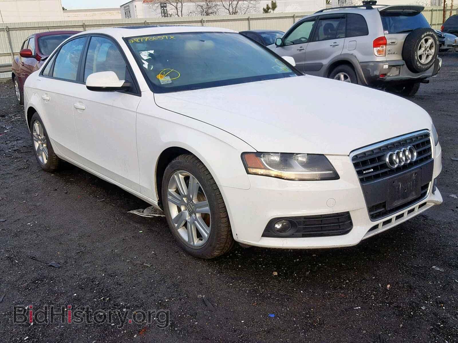 Фотография WAUBFAFL7BN050847 - AUDI A4 2011