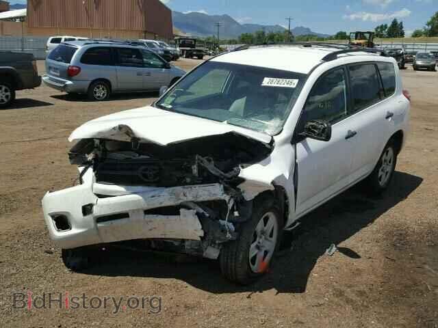 2012 TOYOTA RAV4 - VIN: 2T3BF4DV4CW194701 - Фото 2