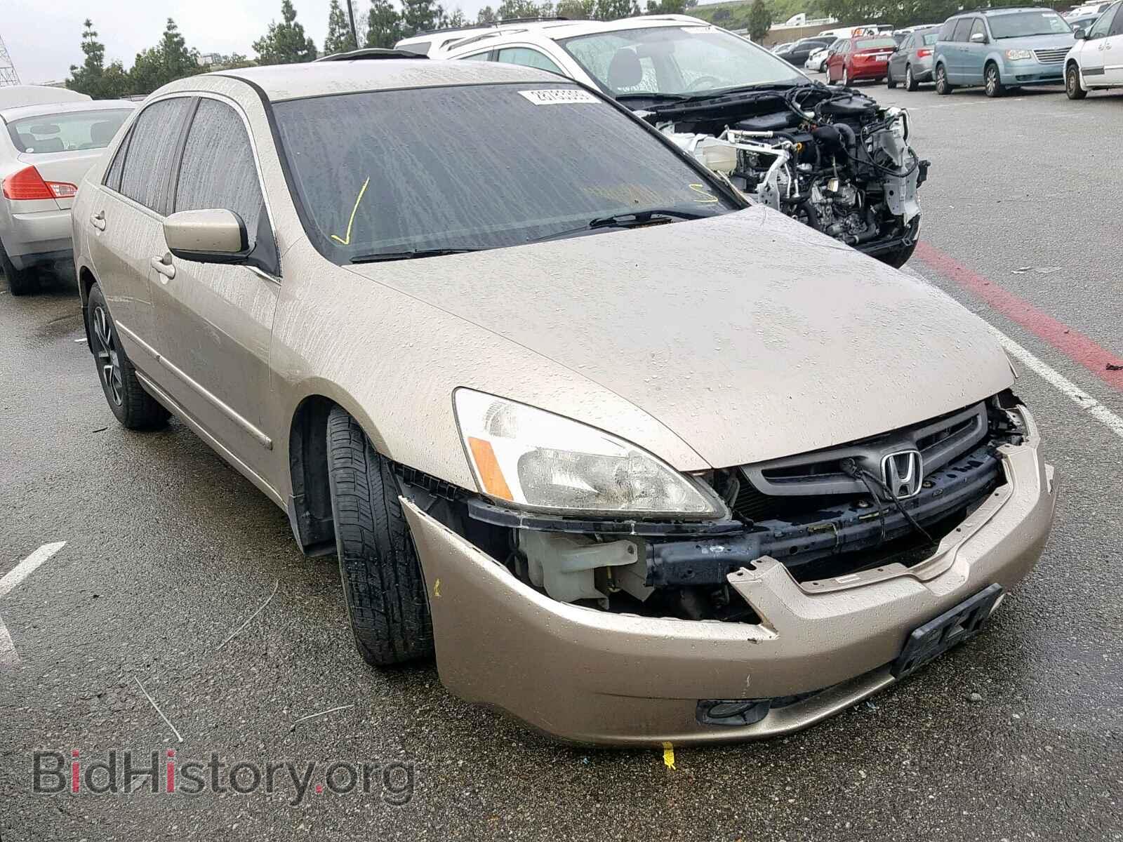 Фотография  - HONDA ACCORD LX 2005