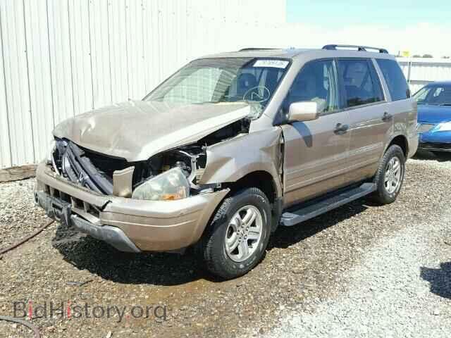 2005 HONDA PILOT - VIN: 2HKYF18505H532480 - Фото 2