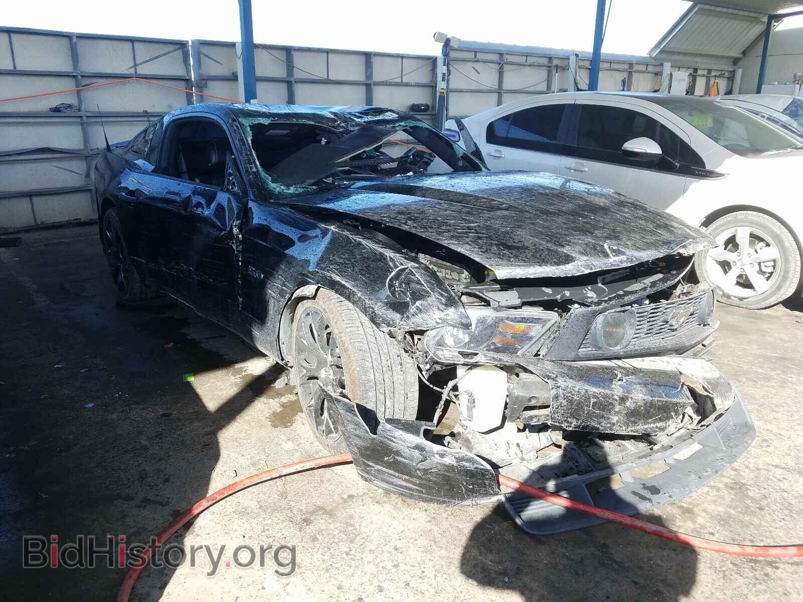 Фотография 1ZVBP8CF9C5262882 - FORD MUSTANG 2012