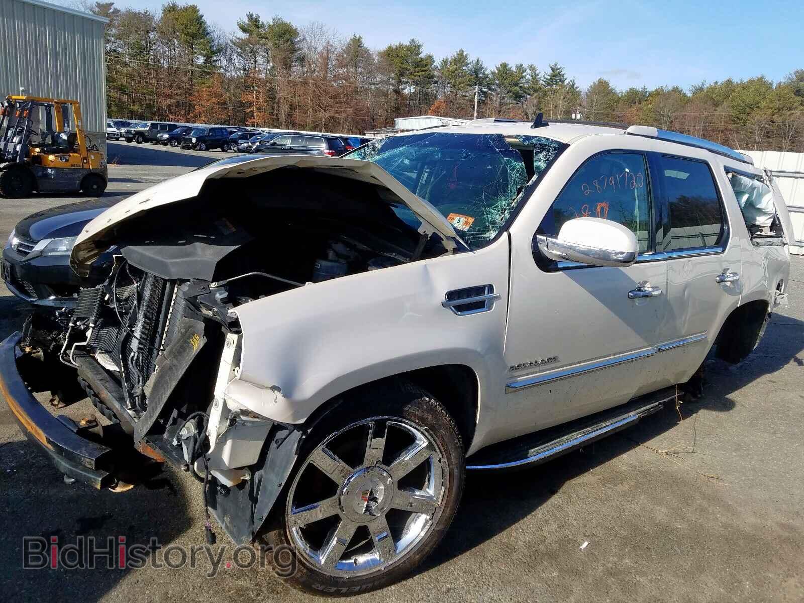 2011 CADILLAC ESCALADE - VIN: 1GYS4BEF4BR319724 - Фото 2