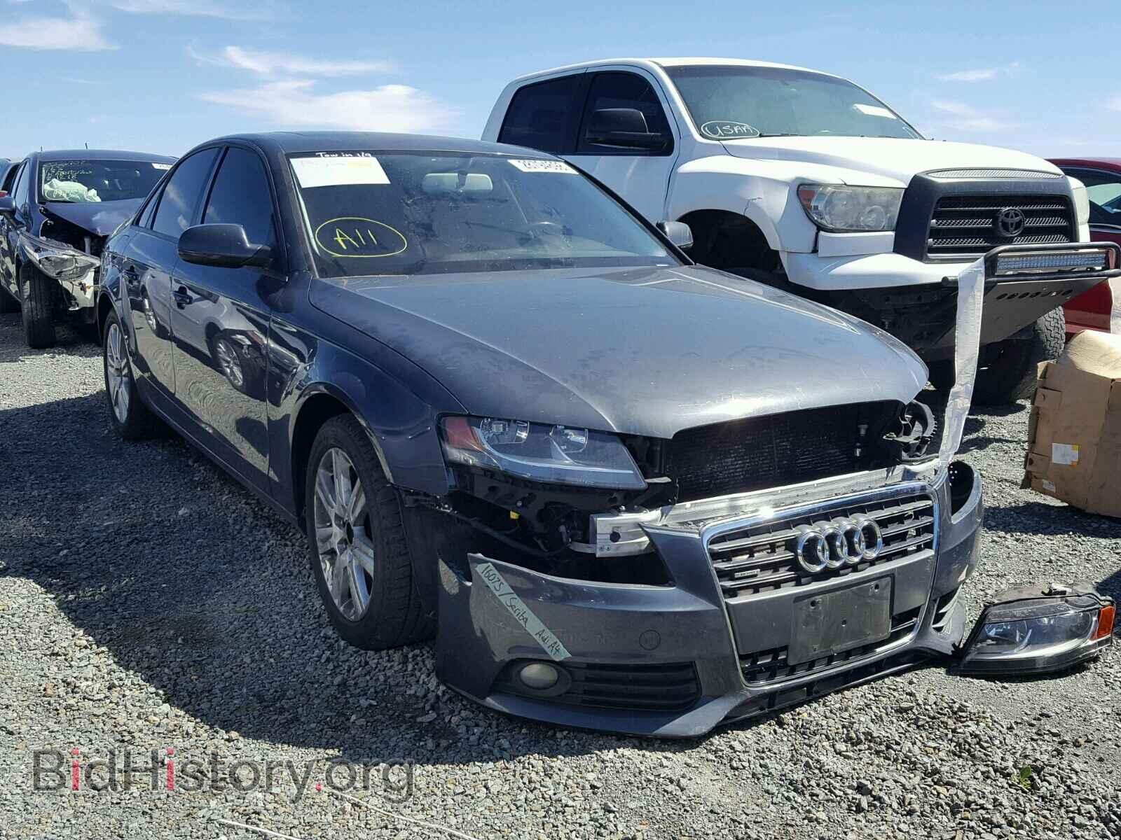 Фотография WAUBFAFL0AN044323 - AUDI A4 2010
