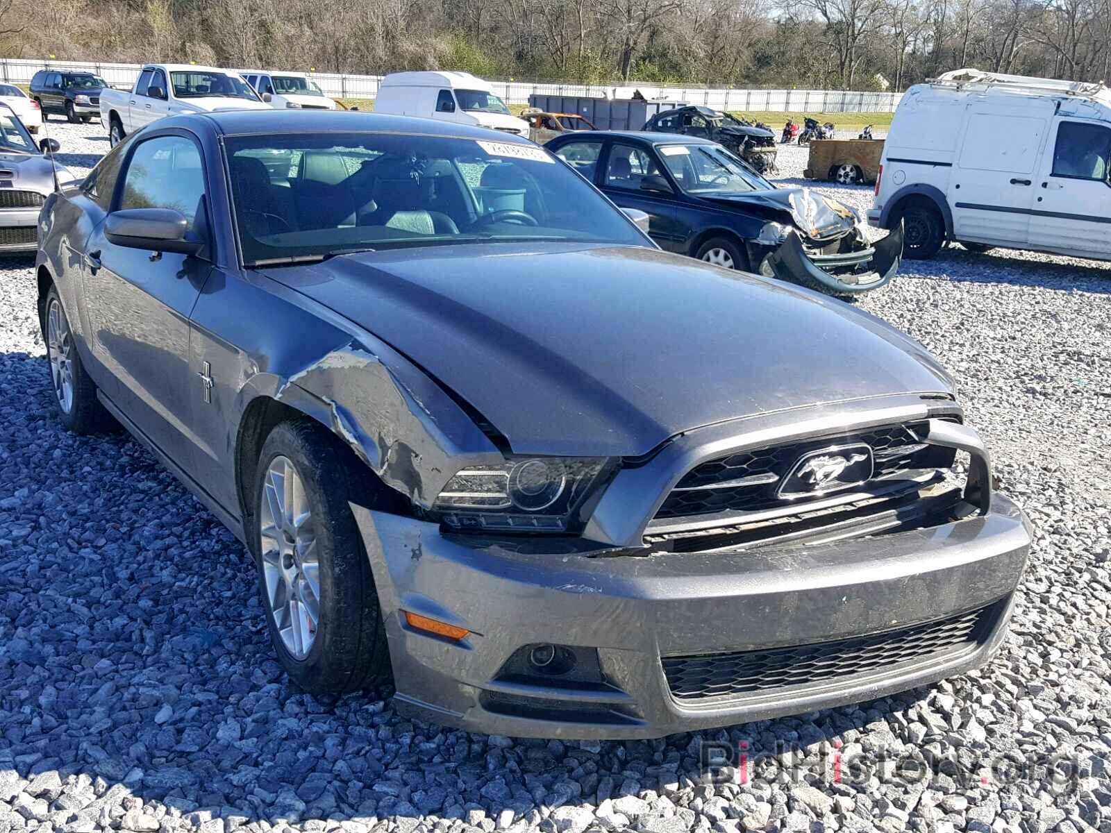 Photo 1ZVBP8AM5E5221492 - FORD MUSTANG 2014