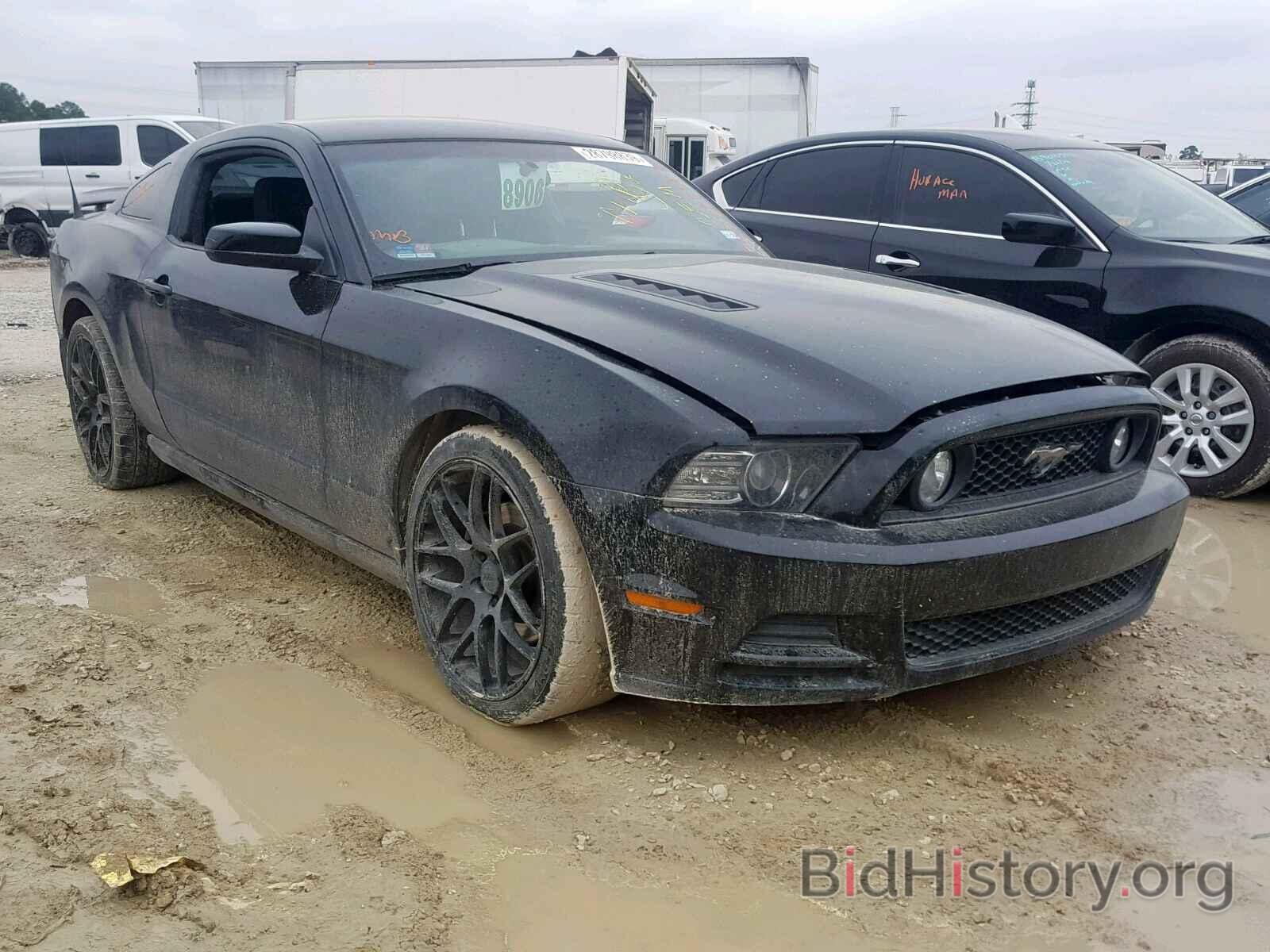 Photo 1ZVBP8AM7D5275066 - FORD MUSTANG 2013