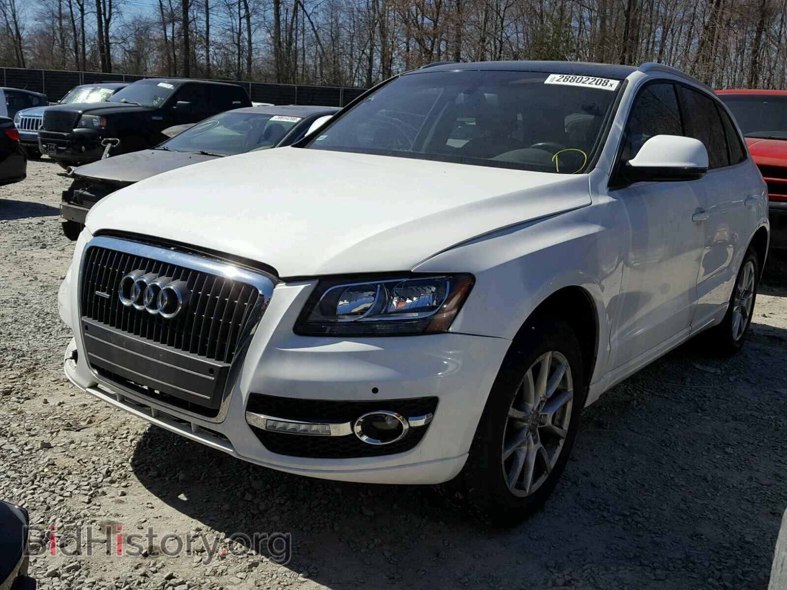 2010 AUDI Q5 - VIN: WA1CKAFP4AA041853 - Фото 2