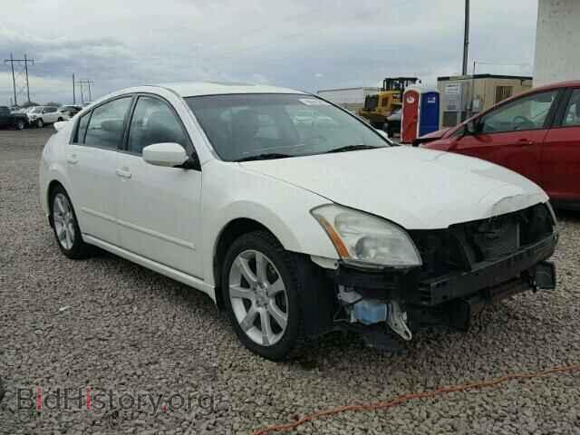 Photo 1N4BA41E77C823286 - NISSAN MAXIMA 2007