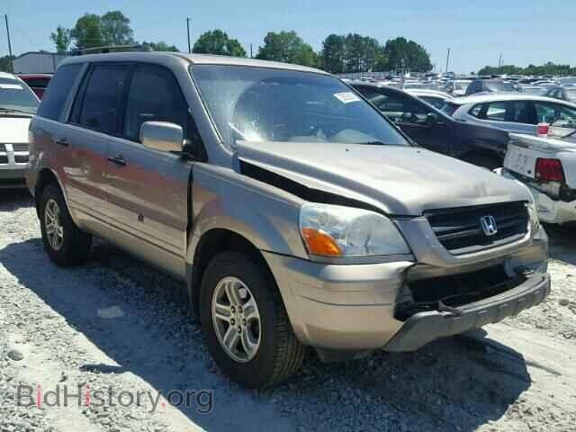 Photo 5FNYF18575B036462 - HONDA PILOT 2005