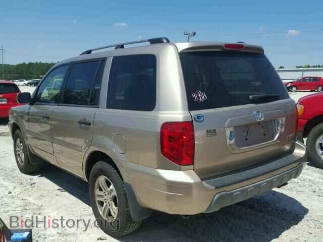 2005 HONDA PILOT - VIN: 5FNYF18575B036462 - Фото 3
