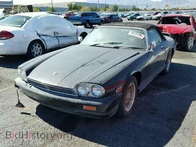 1989 JAGUAR XJS - VIN: SAJNV4841KC150997 - Фото 2