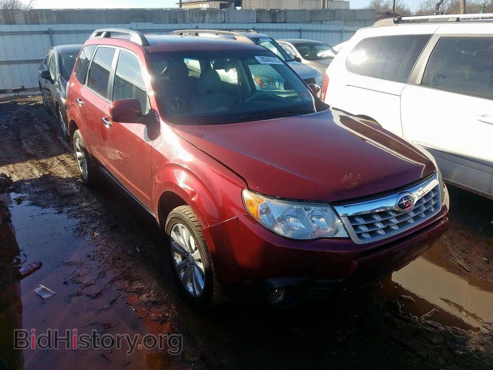 Photo JF2SHAEC3BH751609 - SUBARU FORESTER 2011