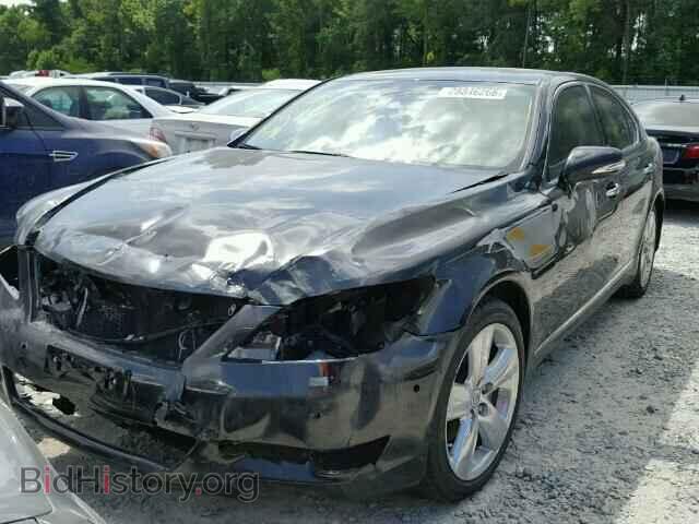 2010 LEXUS LS460 - VIN: JTHBL5EF1A5096847 - Фото 2