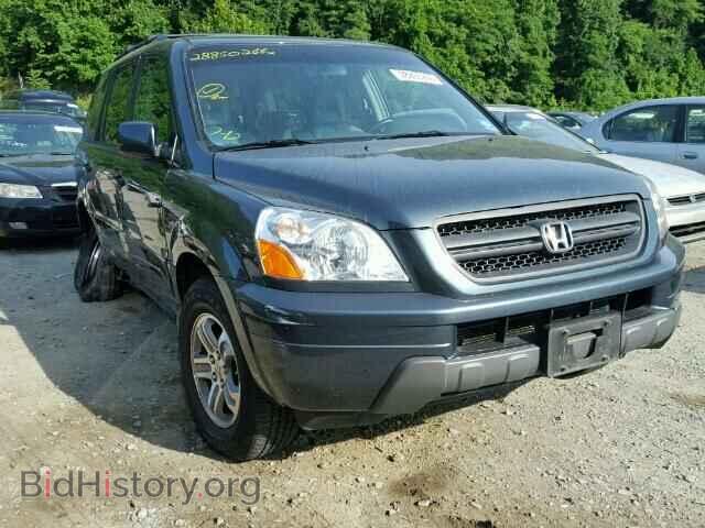 Photo 5FNYF18615B037650 - HONDA PILOT 2005