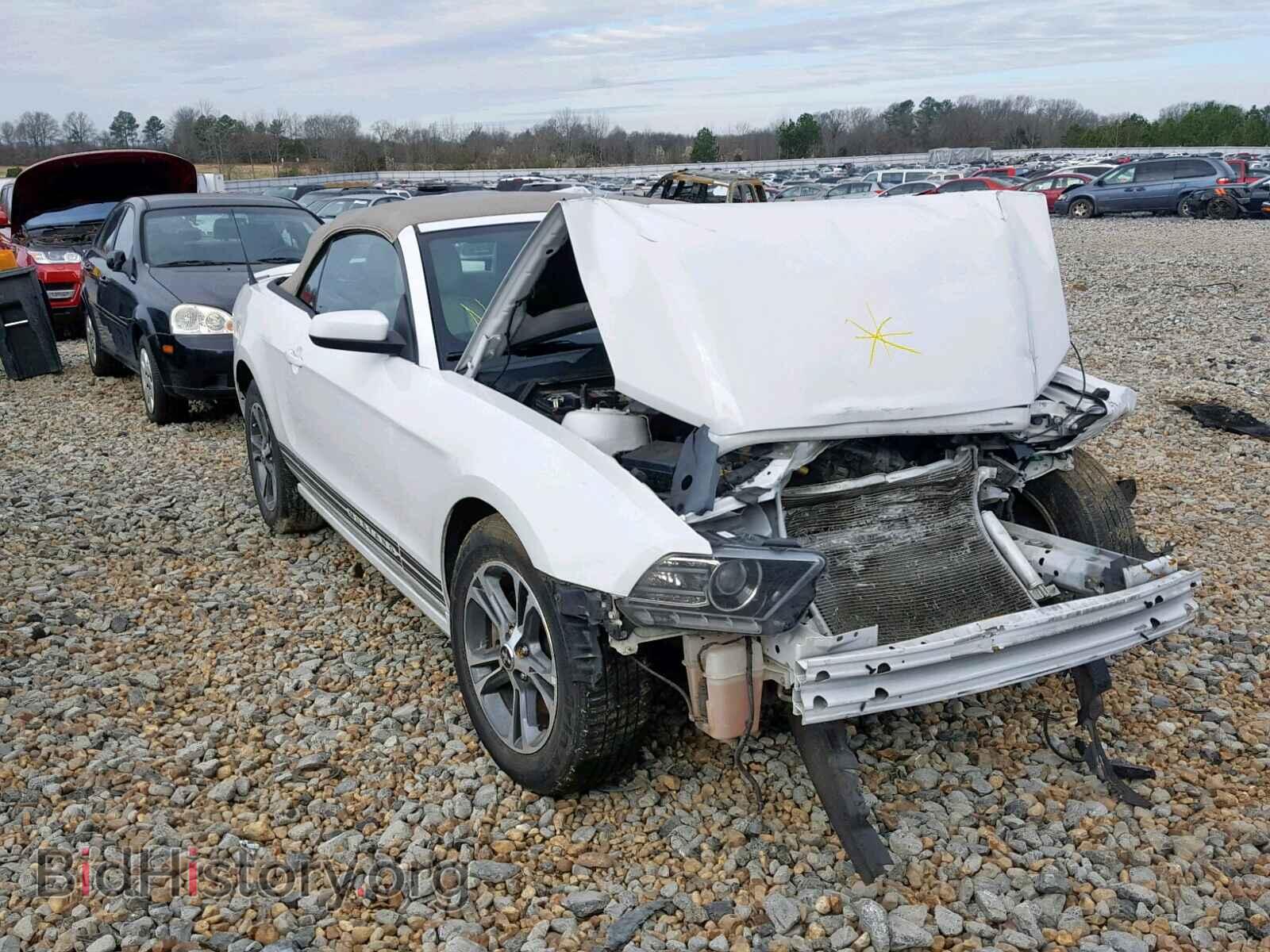 Фотография 1ZVBP8EM8E5236384 - FORD MUSTANG 2014