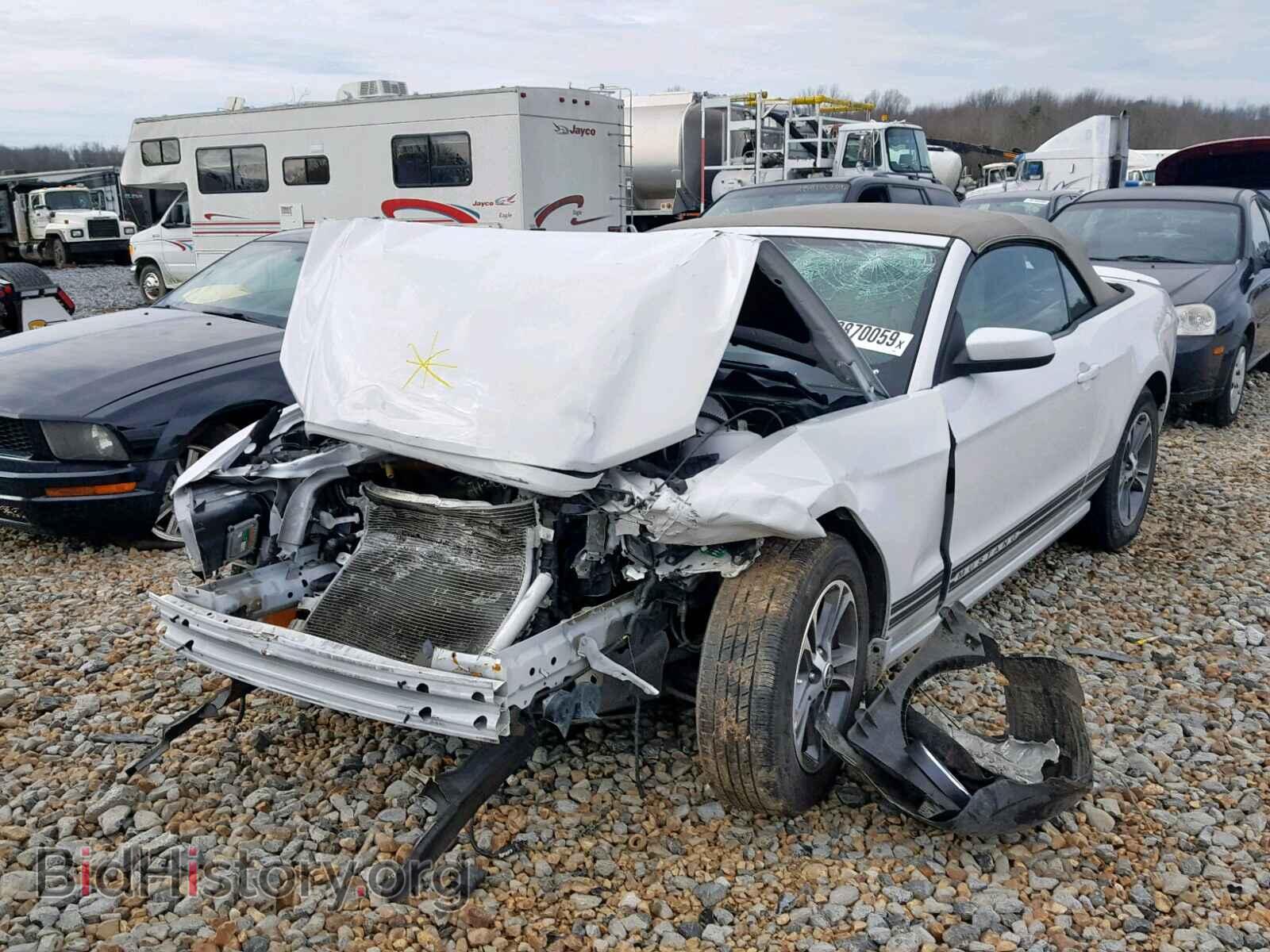 2014 FORD MUSTANG - VIN: 1ZVBP8EM8E5236384 - Фото 2