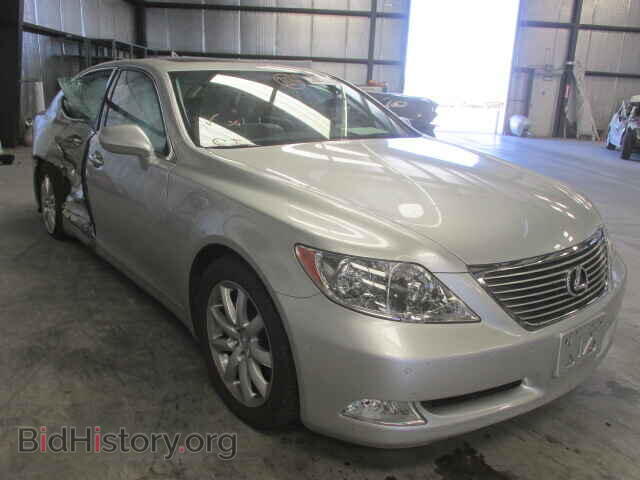 Фотография JTHGL46F285023270 - LEXUS LS460 2008