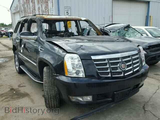 Фотография 1GYS4BEF9BR121091 - CADILLAC ESCALADE 2011