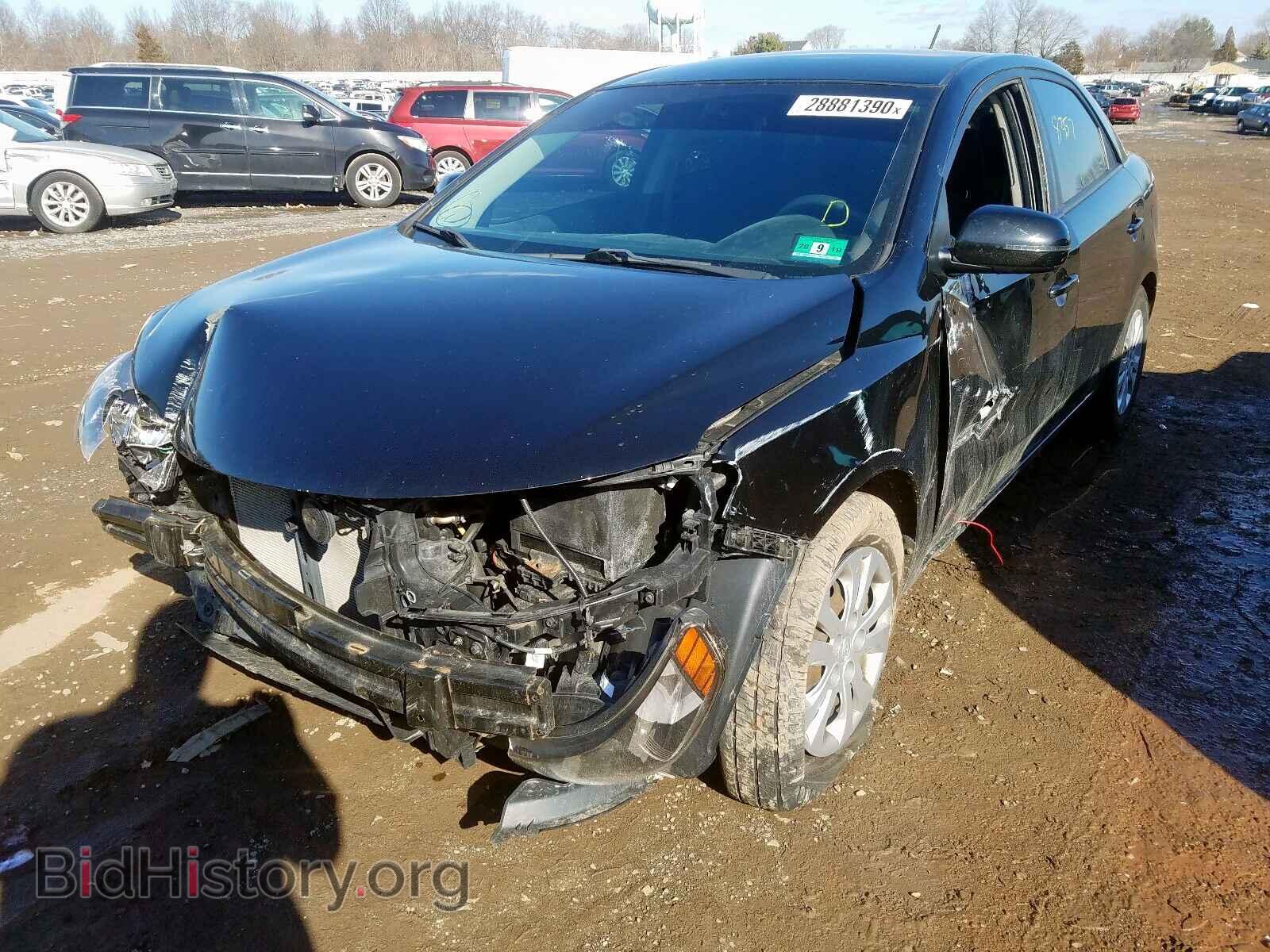 2013 KIA FORTE - VIN: KNAFU4A29D5687586 - Фото 2