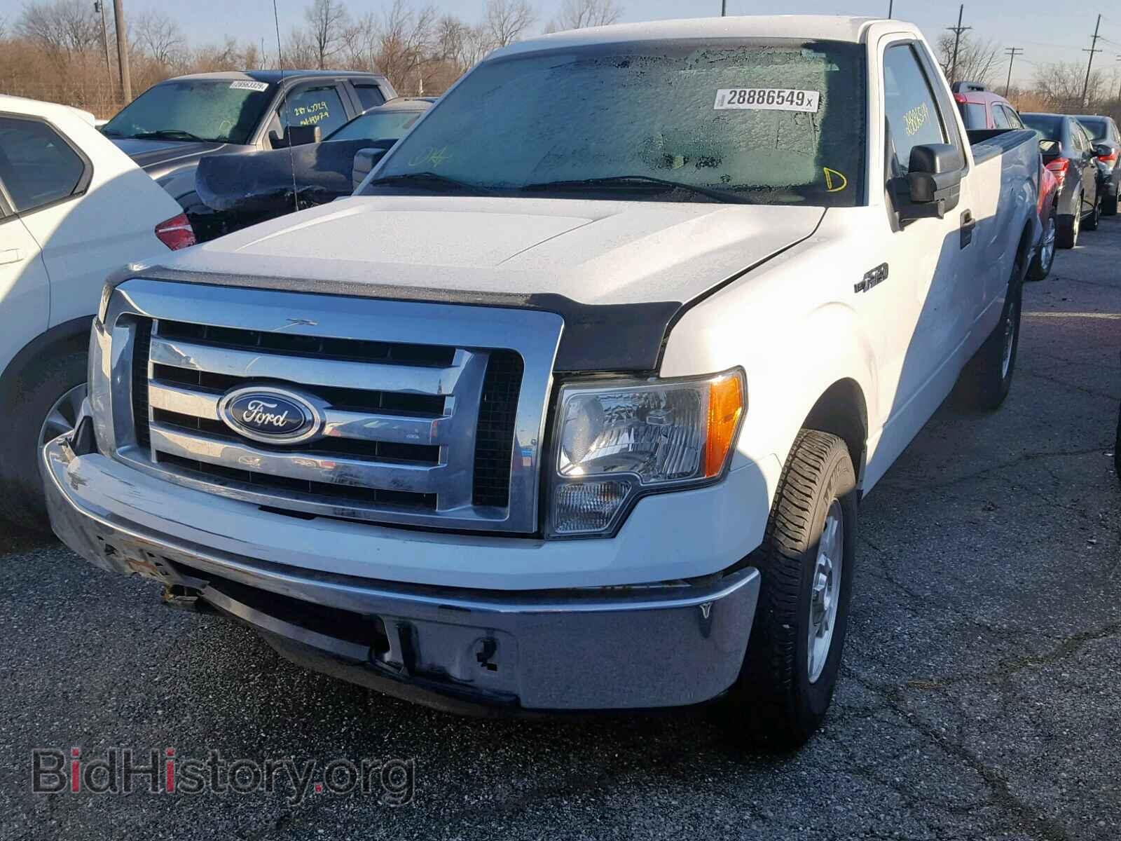 2011 FORD F150 - VIN: 1FTNF1CF3BKD98659 - Фото 2