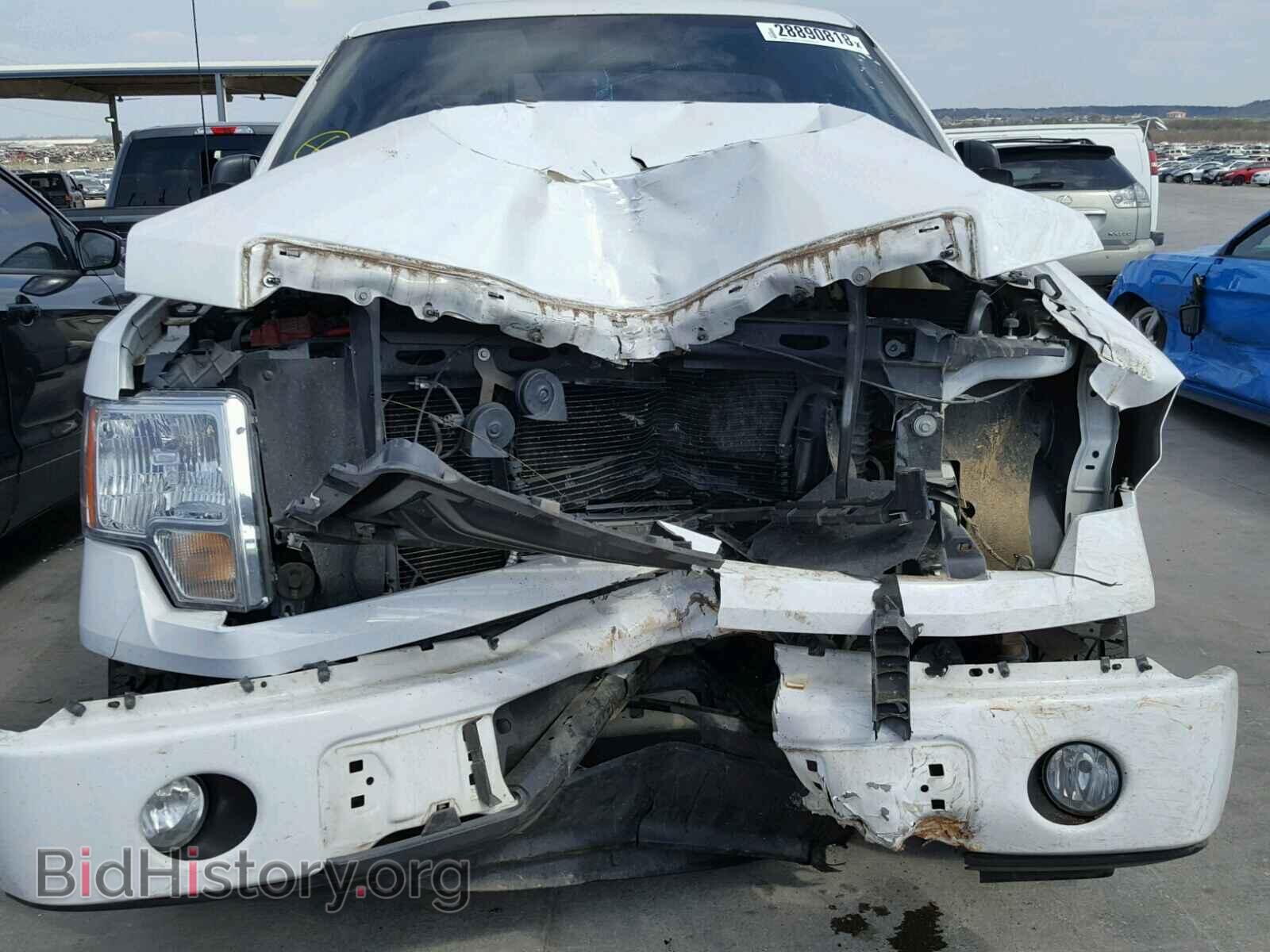 2013 FORD F150 - VIN: 1FTMF1CF7DFC19059 - Фото 7