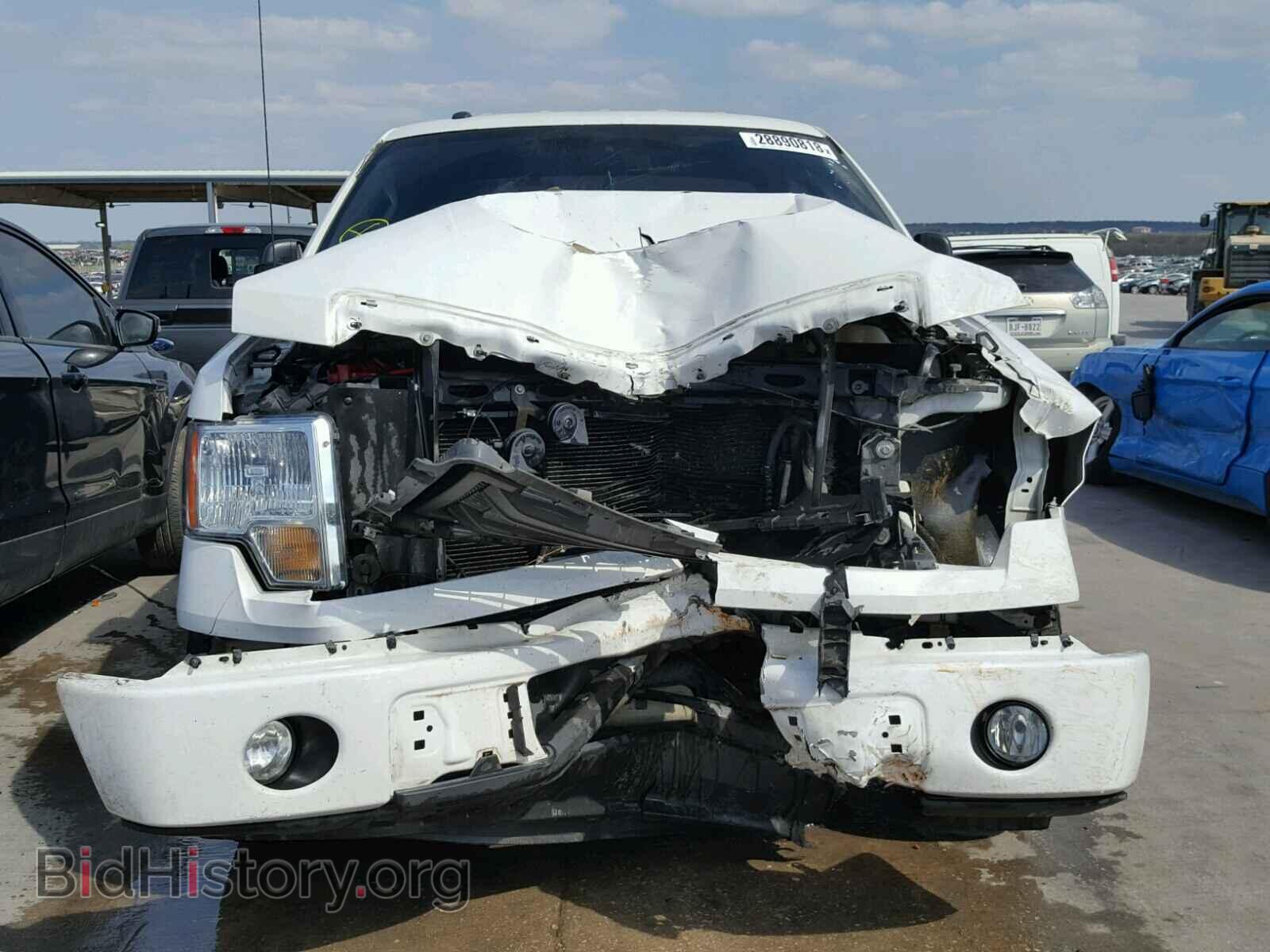 2013 FORD F150 - VIN: 1FTMF1CF7DFC19059 - Фото 9