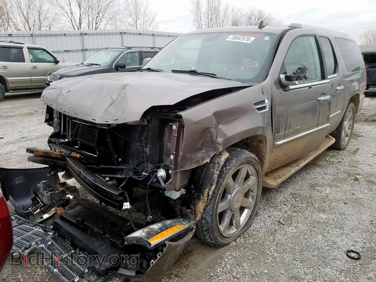 2011 CADILLAC ESCALADE - VIN: 1GYS4JEF6BR379059 - Фото 2