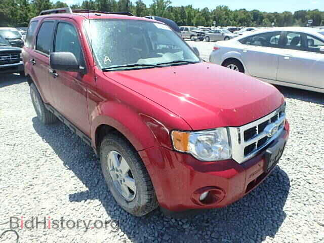 Photo 1FMCU0DG2BKA72555 - FORD ESCAPE 2011