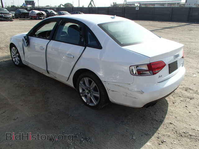 2010 AUDI A4 - VIN: WAUAFAFL5AN014018 - Фото 3