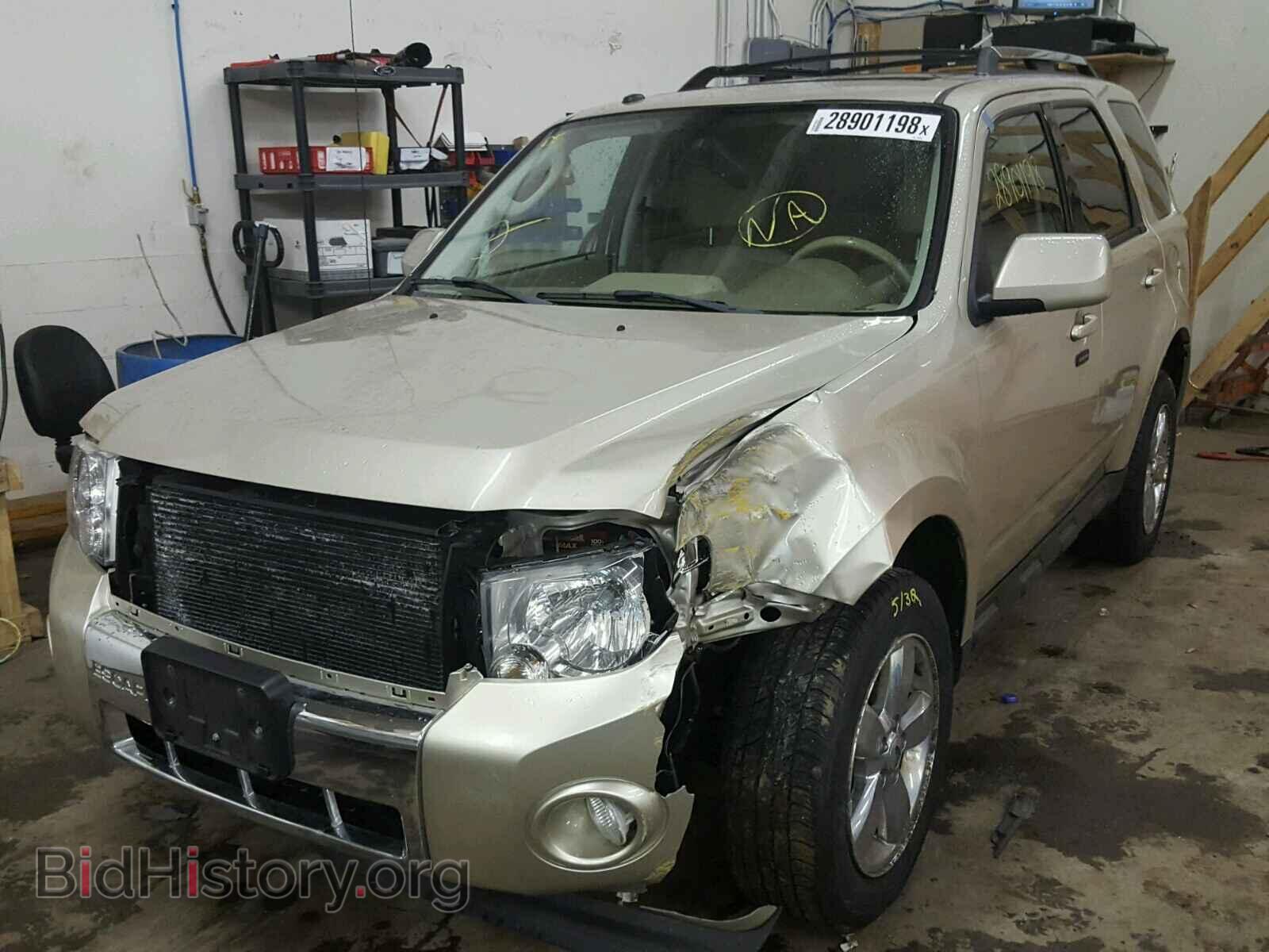 2011 FORD ESCAPE - VIN: 1FMCU9EG0BKB65321 - Фото 2