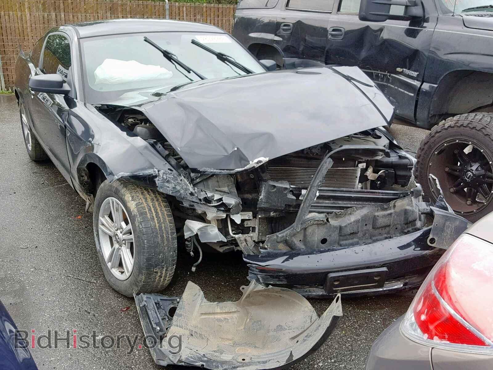 Photo 1ZVBP8AM7D5255304 - FORD MUSTANG 2013