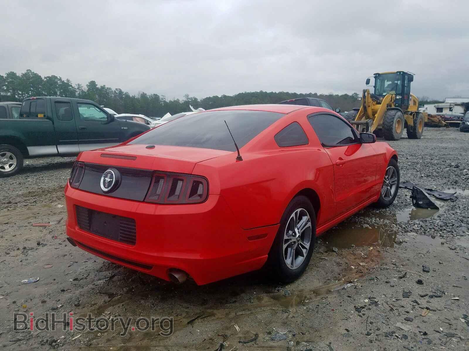 2014 FORD MUSTANG - VIN: 1ZVBP8AM2E5304457 - Фото 4