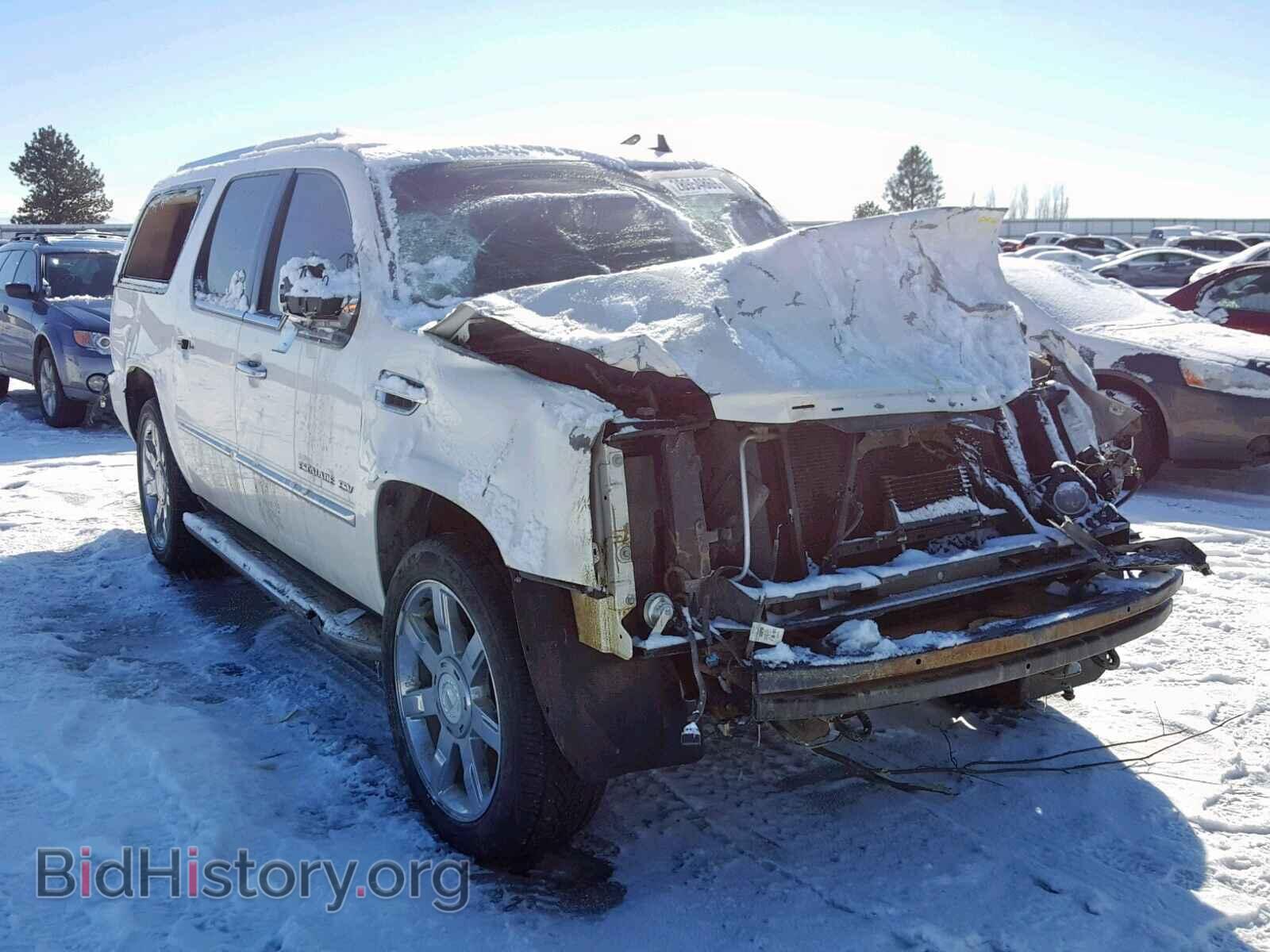 Фотография 1GYS3HEF7BR377039 - CADILLAC ESCALADE 2011
