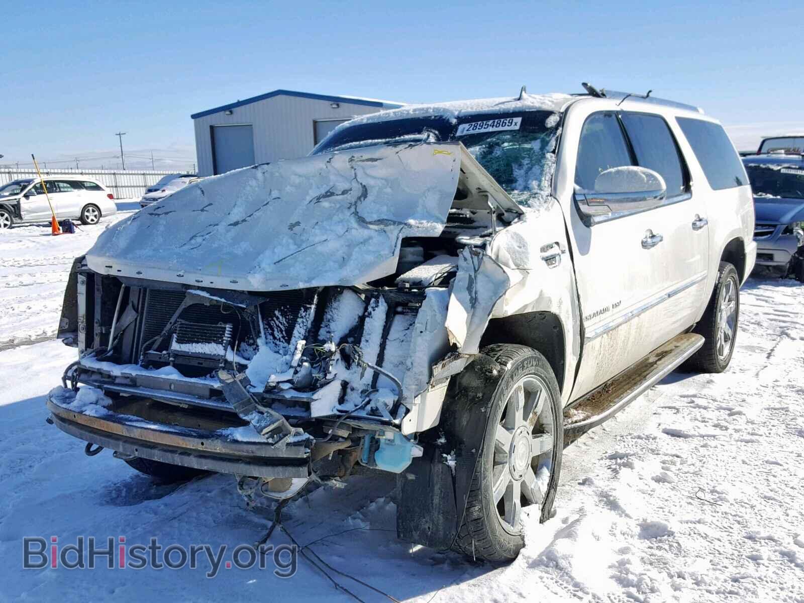 2011 CADILLAC ESCALADE - VIN: 1GYS3HEF7BR377039 - Фото 2