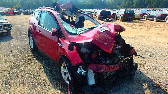 Фотография 1FMCU0GX7DUC23828 - FORD ESCAPE 2013