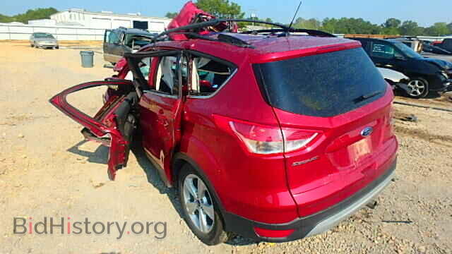 2013 FORD ESCAPE - VIN: 1FMCU0GX7DUC23828 - Фото 3