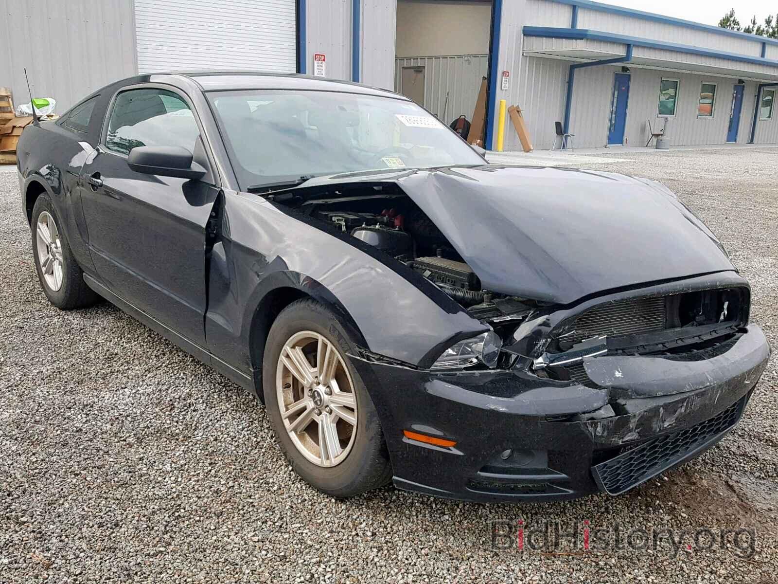 Photo 1ZVBP8AM5E5245646 - FORD MUSTANG 2014