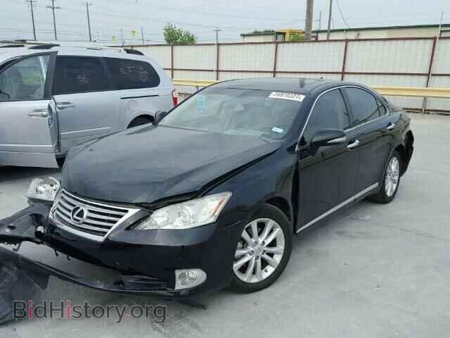 2010 LEXUS ES350 - VIN: JTHBK1EG1A2400393 - Фото 2