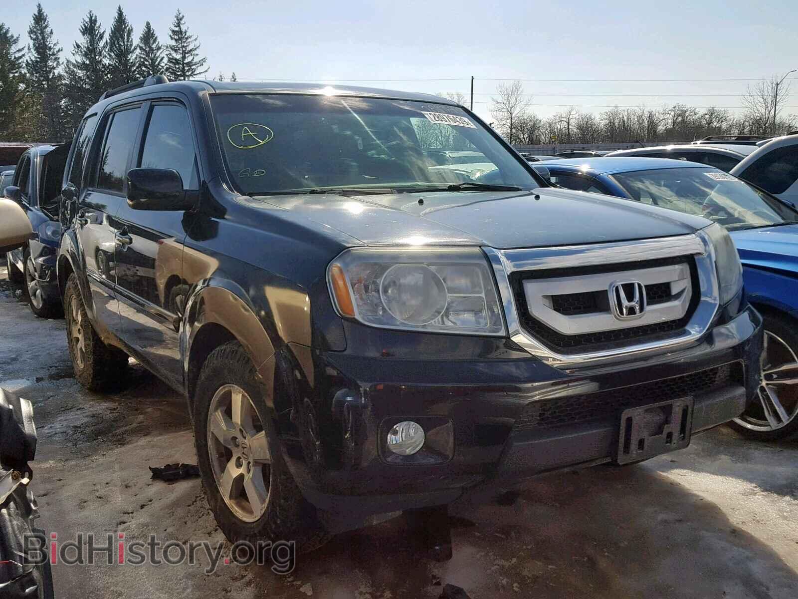 Фотография 5FNYF4H55BB501012 - HONDA PILOT EXL 2011