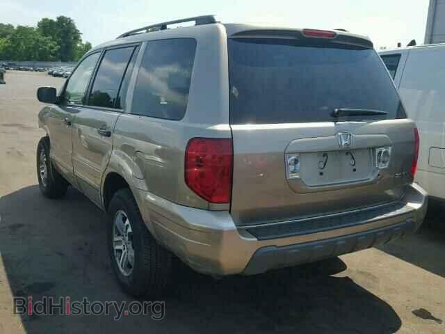 2005 HONDA PILOT - VIN: 2HKYF18425H528986 - Фото 3