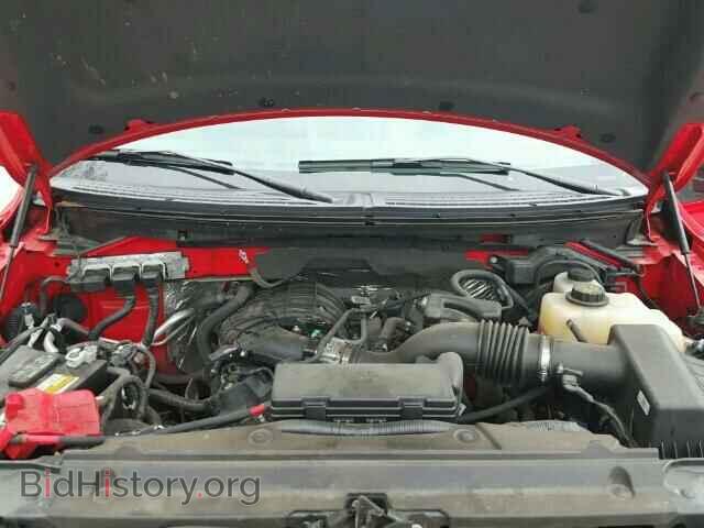 2013 FORD F150 - VIN: 1FTMF1EM3DFD79256 - Фото 7