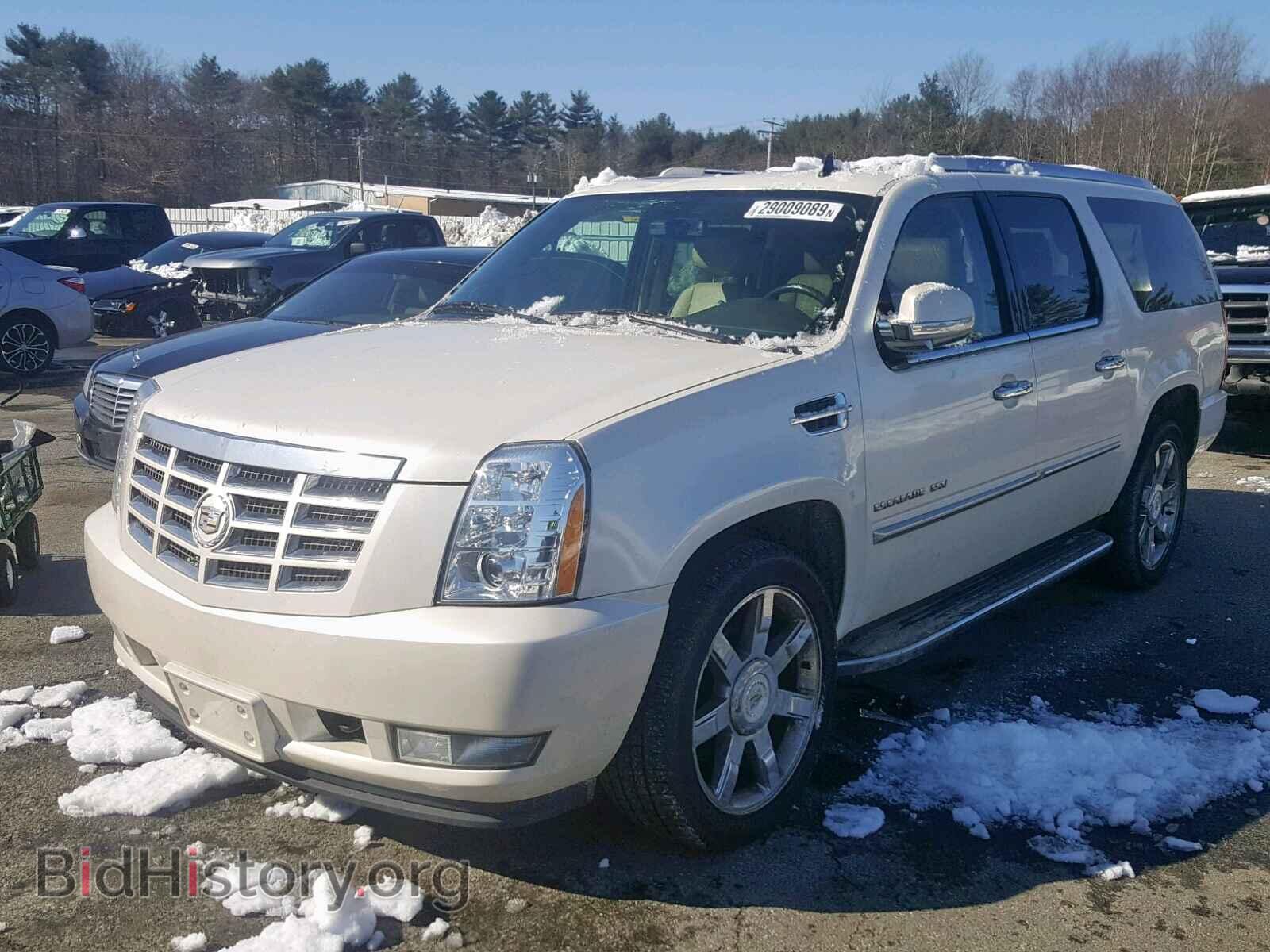 2011 CADILLAC ESCALADE E - VIN: 1GYS4HEF7BR129869 - Фото 2