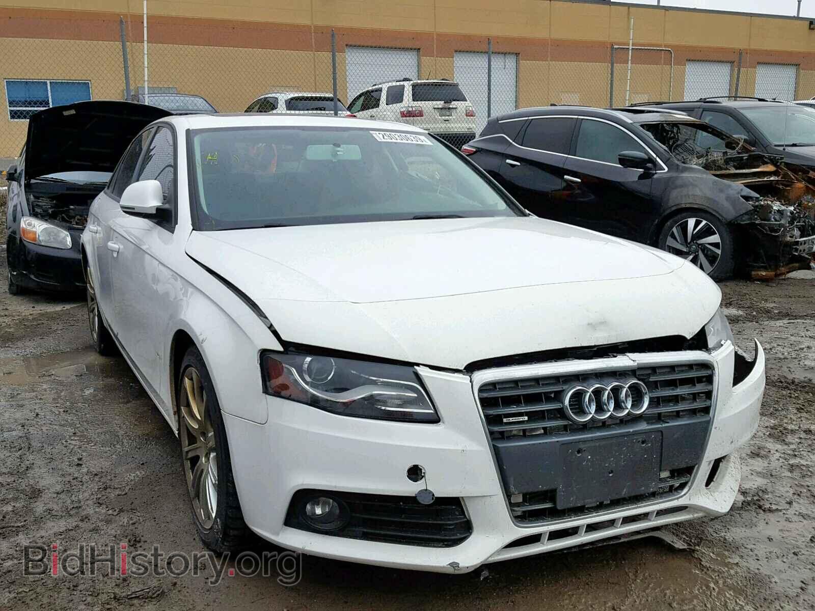 Photo WAULF68K09A223986 - AUDI A4 2009